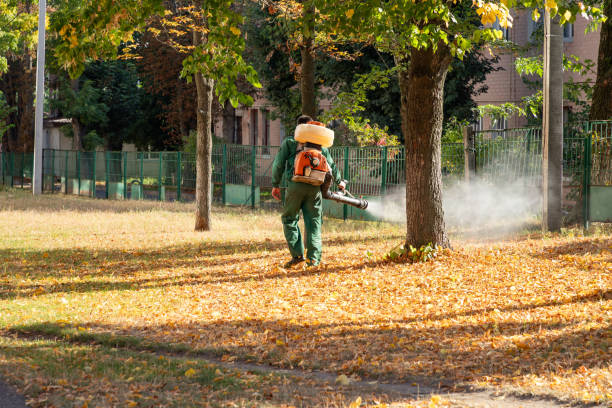 Wasp Removal Services in Scotia, NY