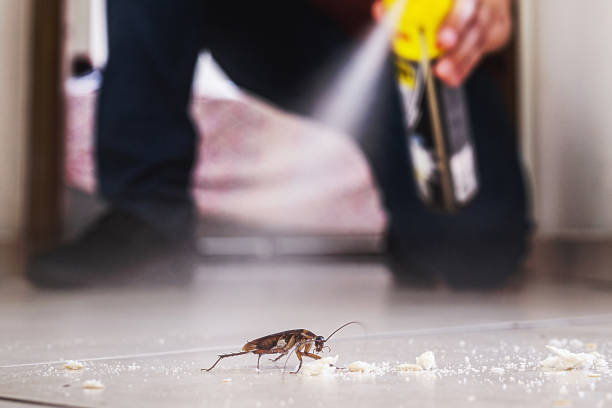 Best Best Pest Control Companies  in Scotia, NY